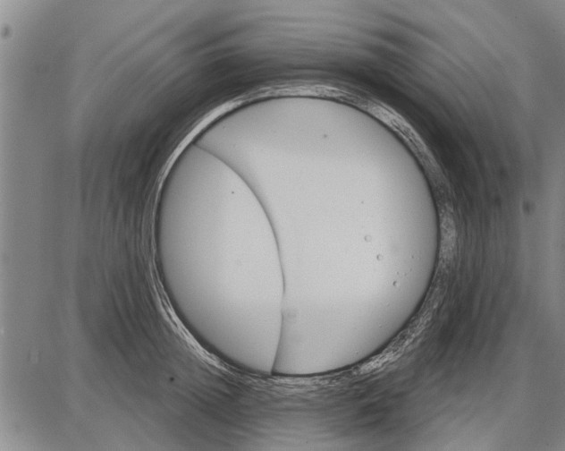 X0000087680852200705181728