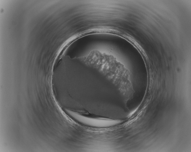 X0000087680853200705181728