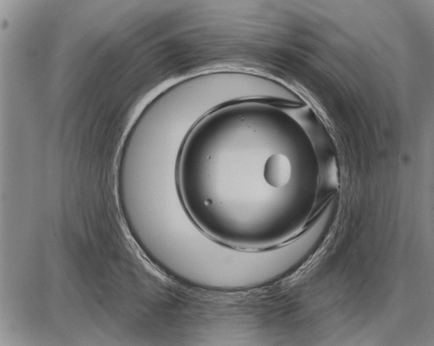 X0000087680854200705181728