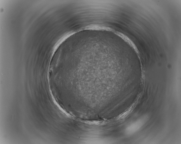 X0000087680855200705181728