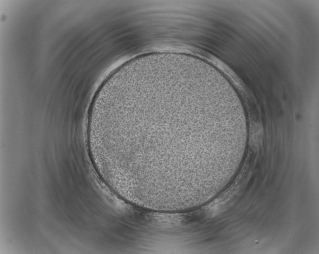 X0000087680856200705181728