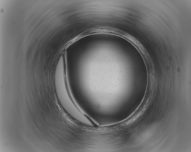 X0000087680857200705181728