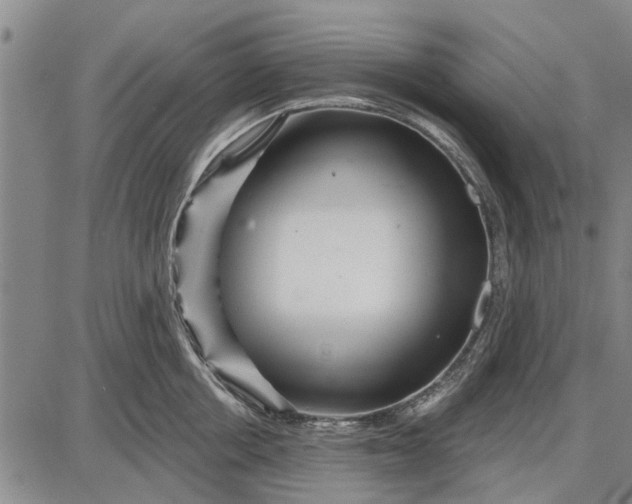 X0000087680858200705181728