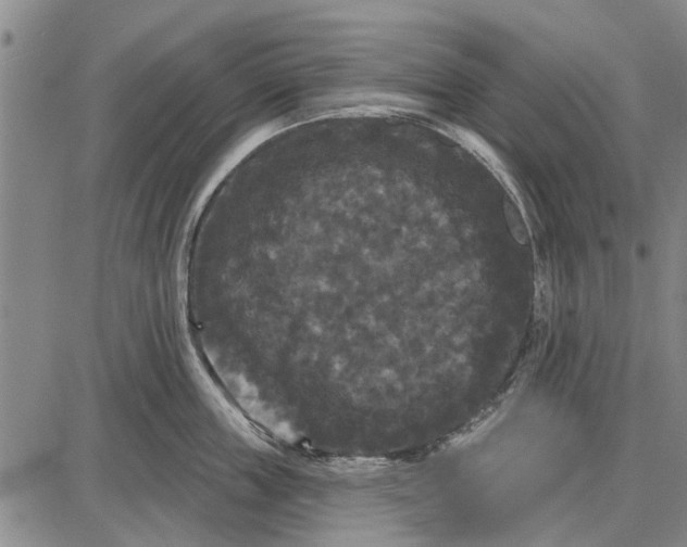 X0000087680859200705181728