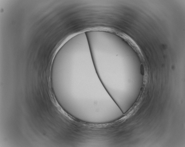 X0000087680860200705181728