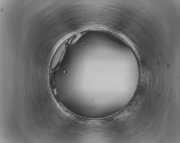 X0000087680861200705181728