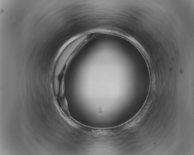 X0000087680862200705181728