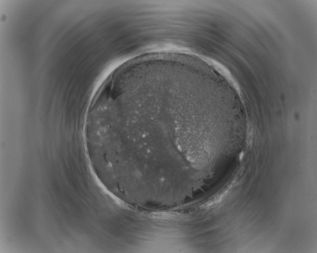 X0000087680863200705181728