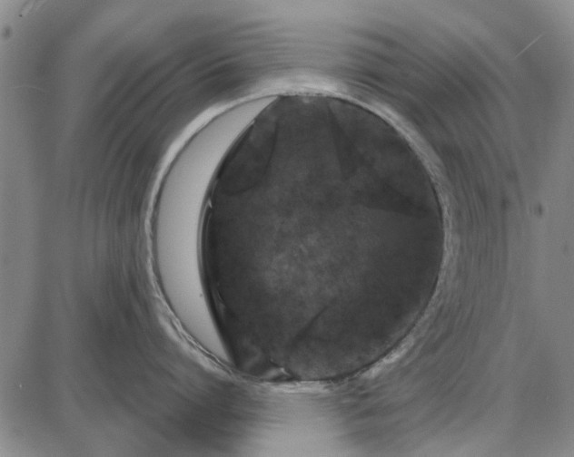 X0000087680864200705181728