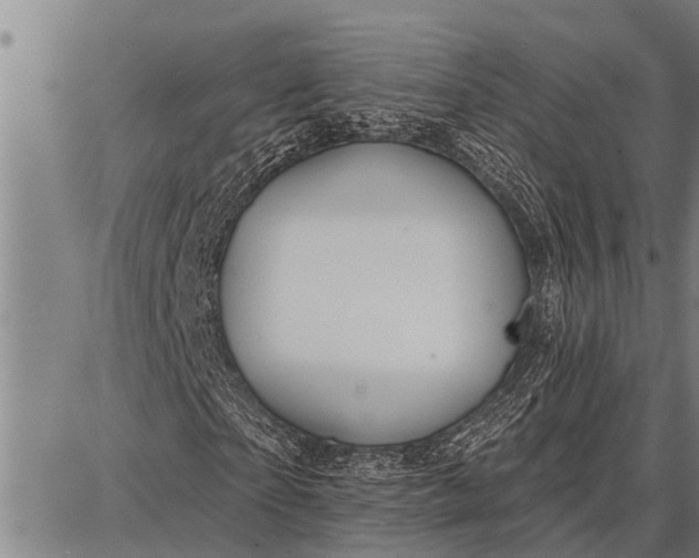 X0000087680865200705181727