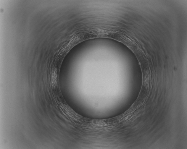 X0000087680866200705181727