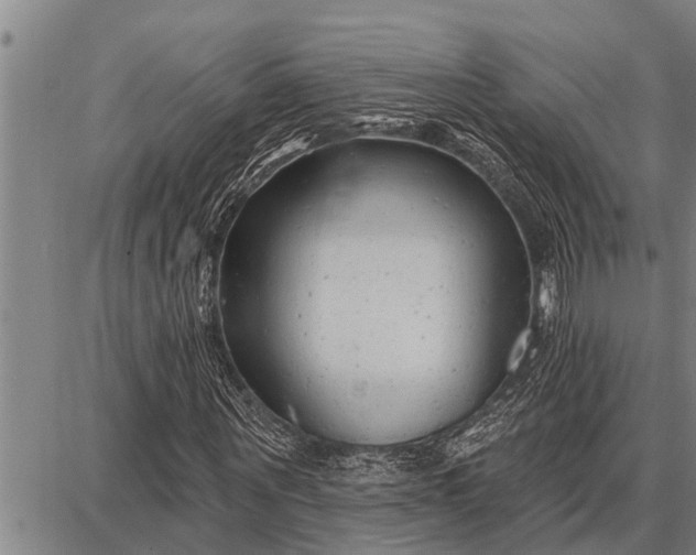 X0000087680867200705181727