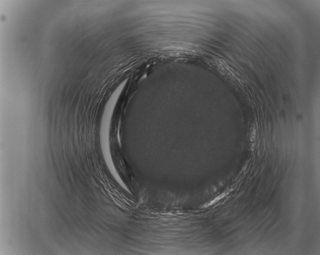 X0000087680868200705181727