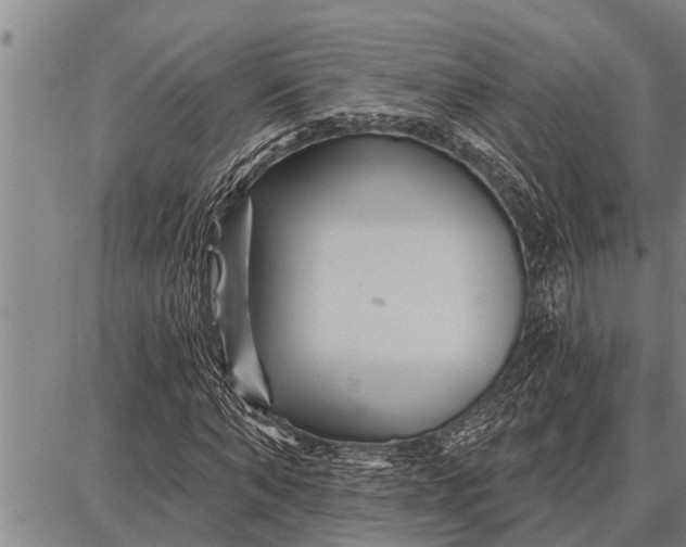 X0000087680870200705181727