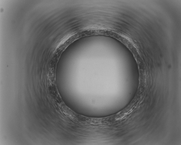 X0000087680871200705181727