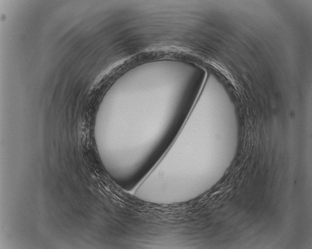 X0000087680872200705181727