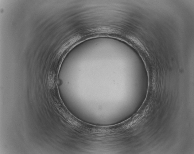 X0000087680873200705181727