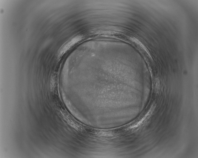 X0000087680874200705181727