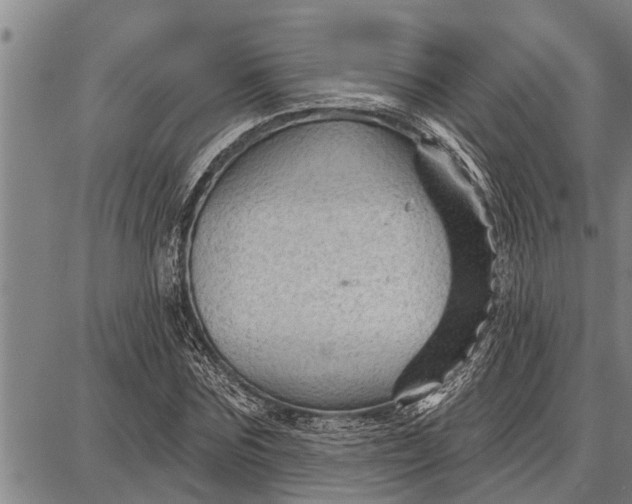 X0000087680875200705181727