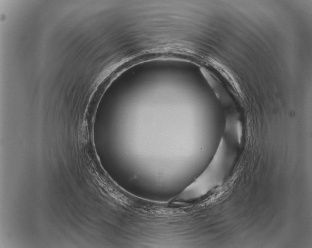 X0000087680876200705181727