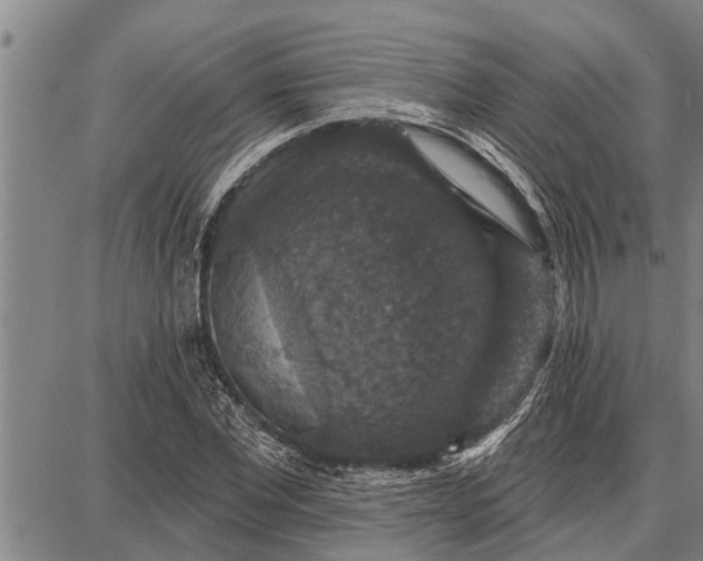 X0000087680877200705181727