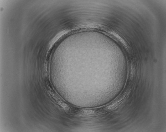 X0000087680878200705181727