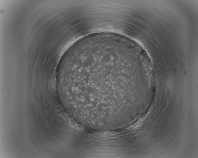 X0000087680879200705181727