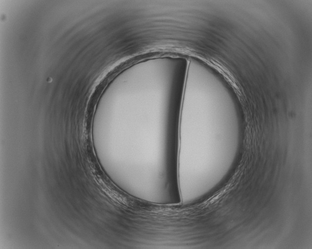 X0000087680880200705181727