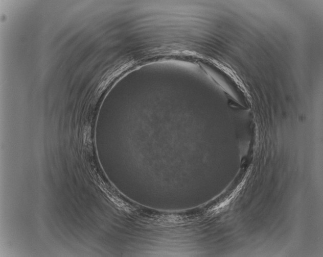 X0000087680881200705181727