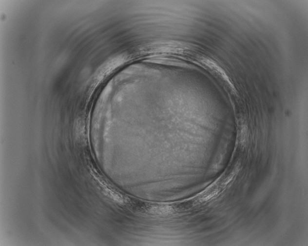 X0000087680882200705181727