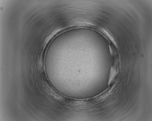 X0000087680883200705181727