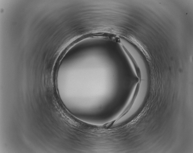 X0000087680884200705181727