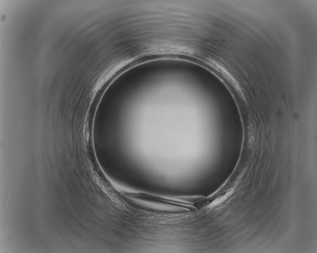 X0000087680885200705181727