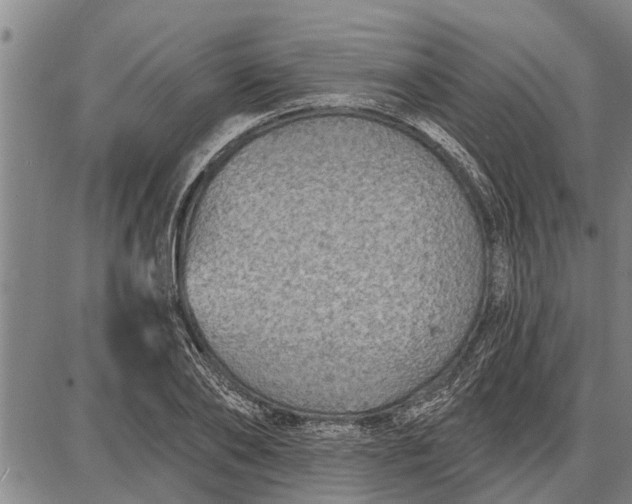 X0000087680886200705181727