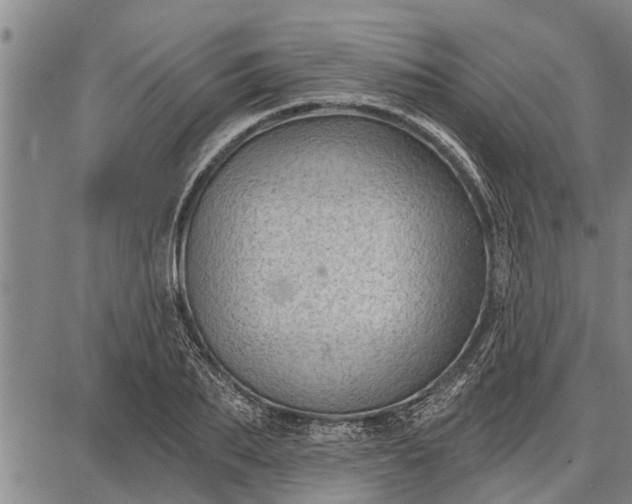 X0000087680887200705181727