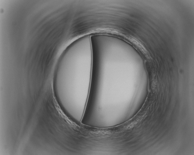 X0000087680888200705181727