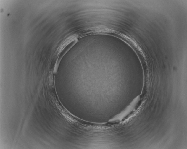 X0000087680889200705181727