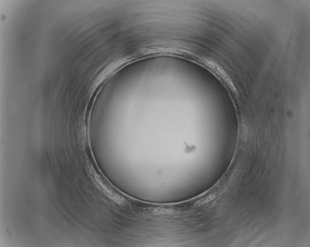 X0000087680890200705181727