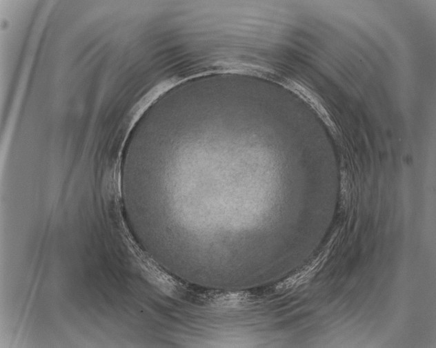 X0000087680891200705181727