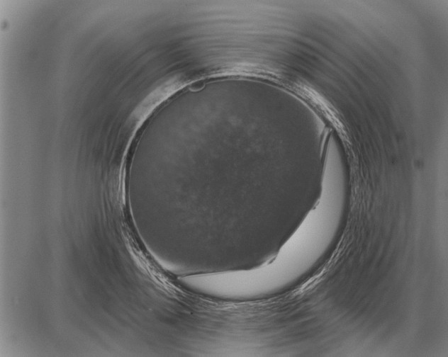 X0000087680892200705181727