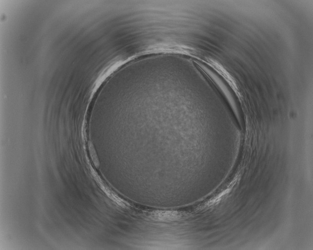 X0000087680893200705181727