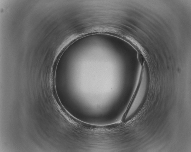 X0000087680894200705181727