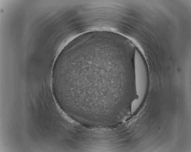 X0000087680895200705181727