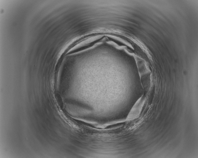 X0000087680896200705181727