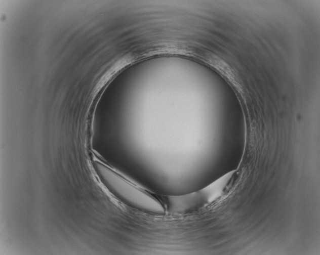 X0000087680898200705181727