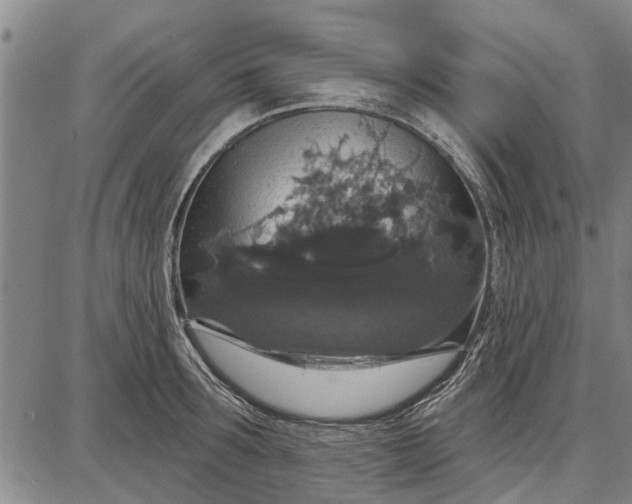 X0000087680899200705181727