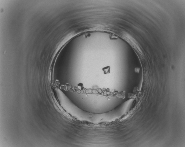 X0000087680900200705181727