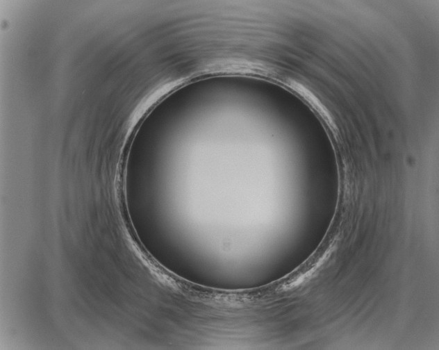 X0000087680901200705181727