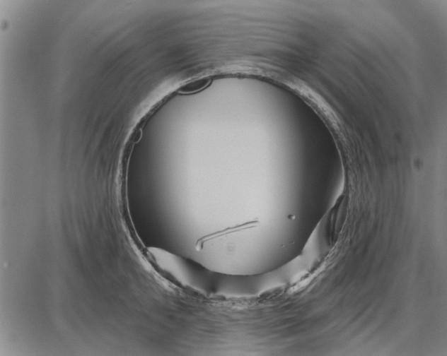 X0000087680902200705181726