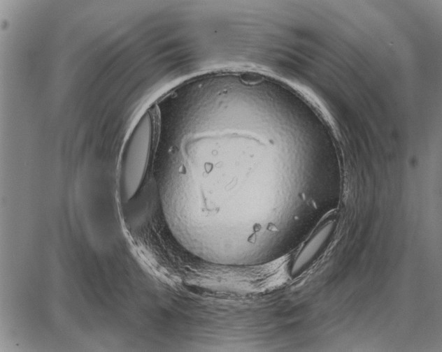 X0000087680903200705181726